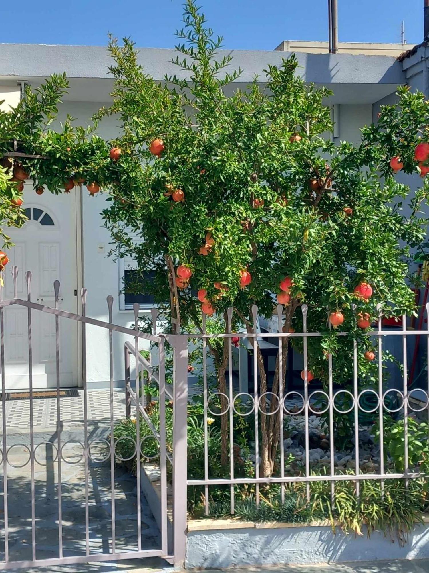 Anastasia'S Home Néa Péramos Zewnętrze zdjęcie